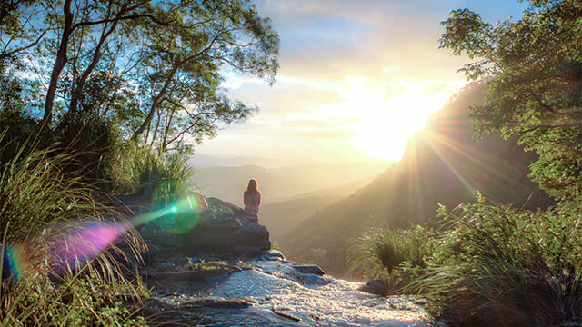 Back to Nature