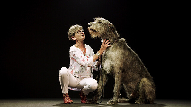 Dogs & Us—The Secret of a Friendship