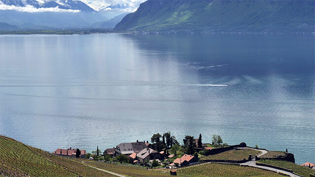 The Rhône