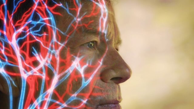 Searching: Our Quest for Meaning in the Age of Science