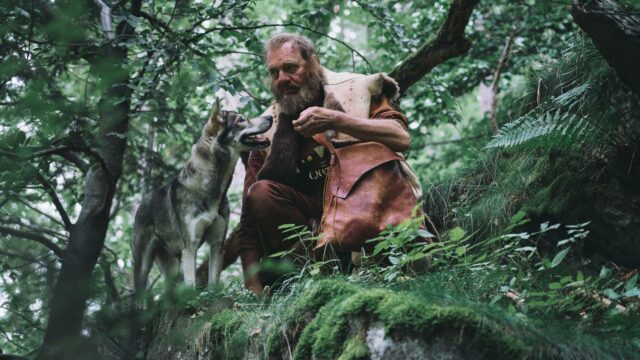 Taming the Beasts—The History of Animal Domestication