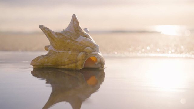 Changing Seas