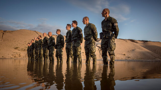 SAS: Who Dares Wins